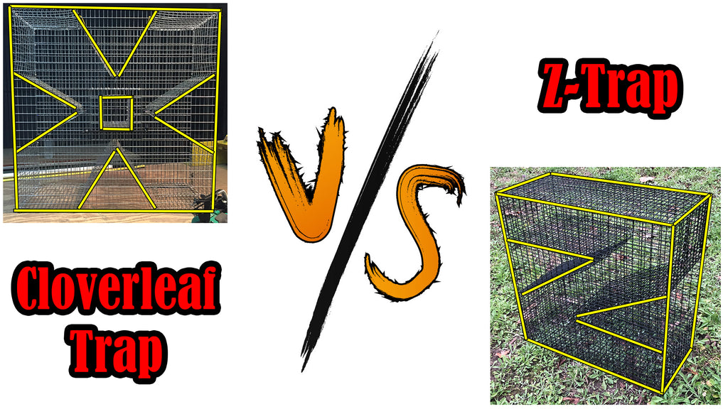 Perch Trap - Pinfish Trap Battle - Cloverleaf Vs Z-Trap!