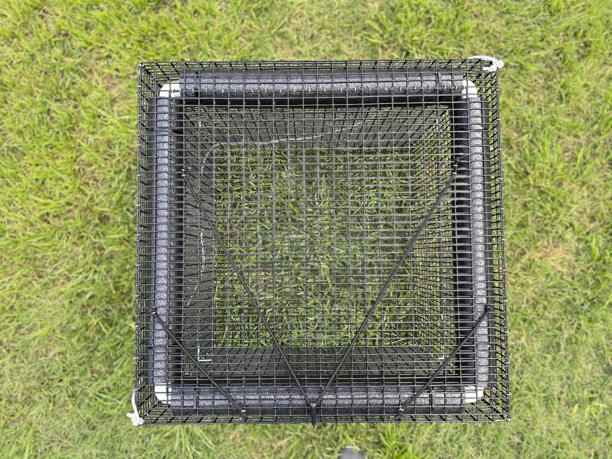 Live Fish Basket - Fish Cage