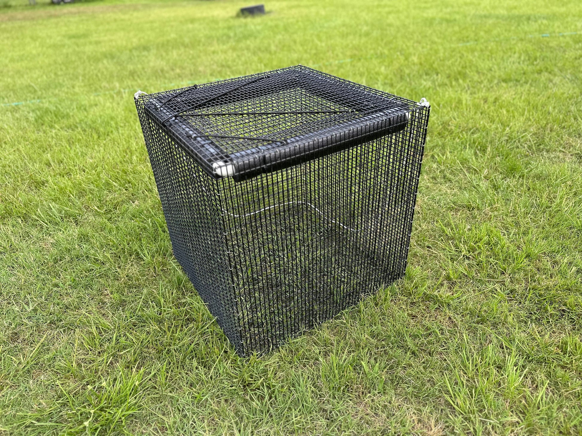 Live Fish Basket - Fish Cage
