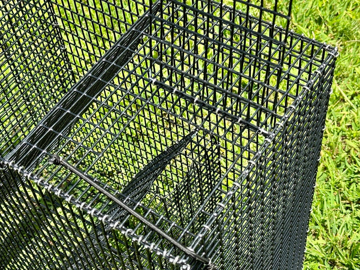 A close-up of a black metal wire mesh trap or cage, shown outdoors on green grass.