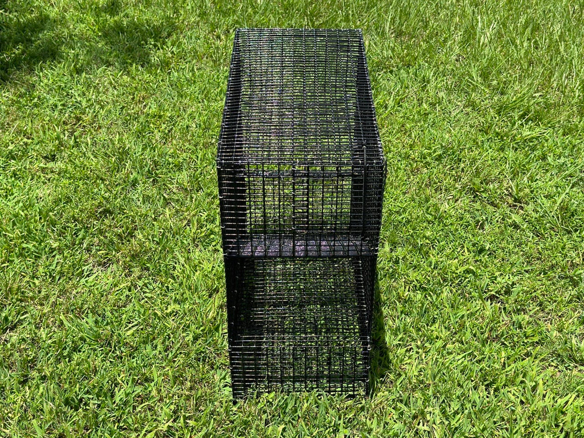 A black metal wire mesh pinfish trap or cage standing upright on green grass outdoors.