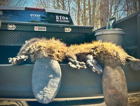 Beaver Trapping Services (March 3 - March 10, 2024) - Reel Texas Outdoors
