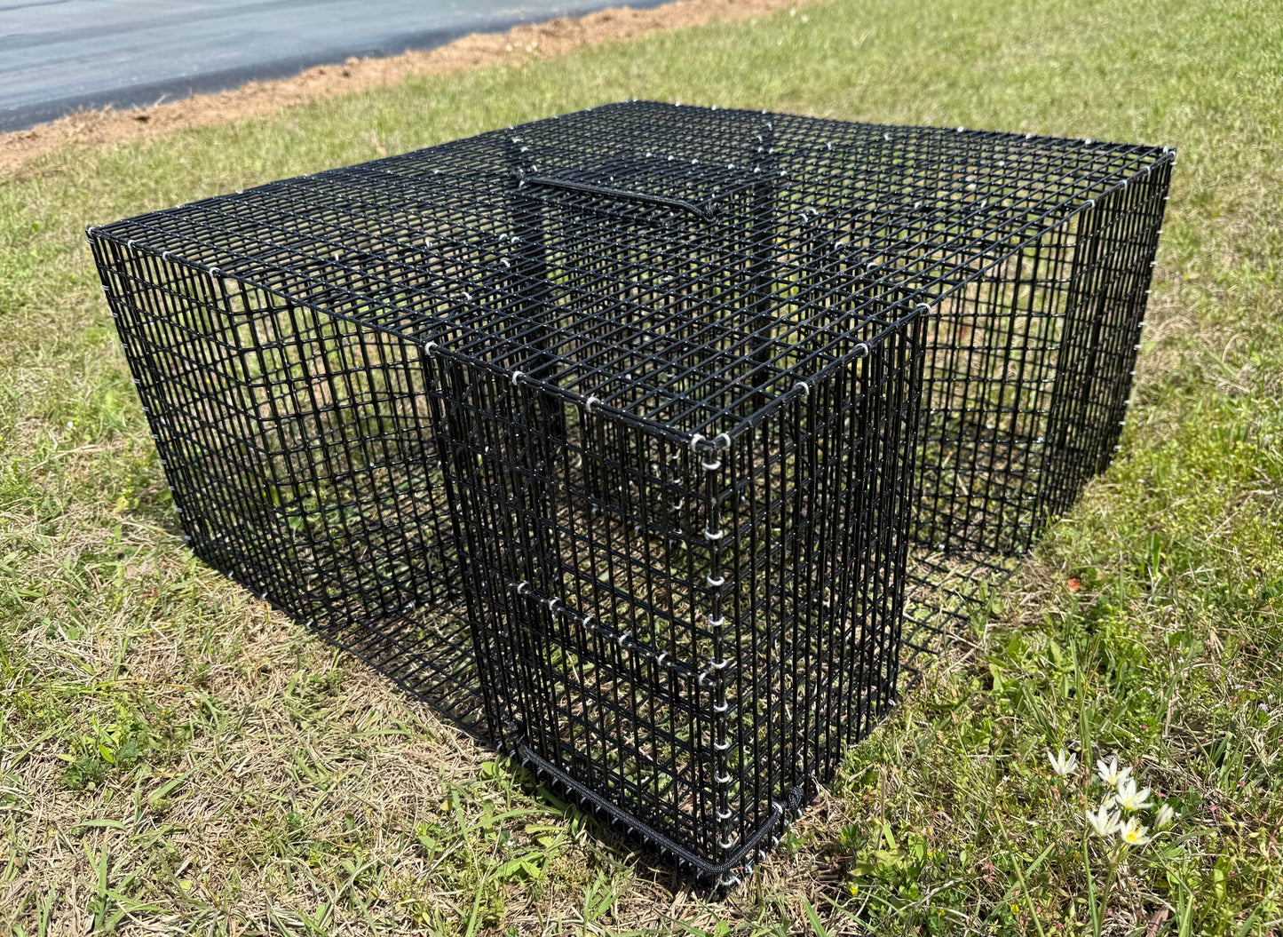 A black wire cloverleaf-style pinfish trap cage structure with a front door panel, placed outdoors on grass near a paved area.