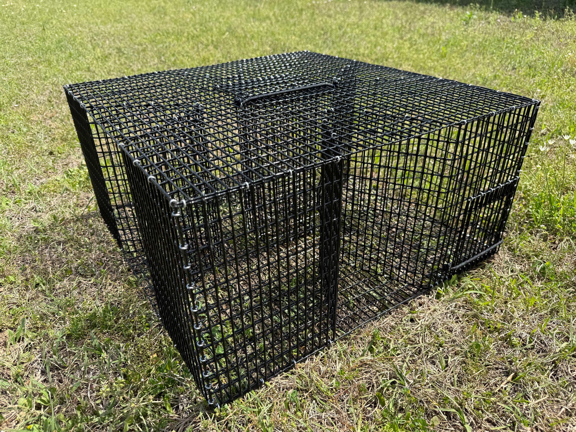 Cloverleaf Pinfish Trap