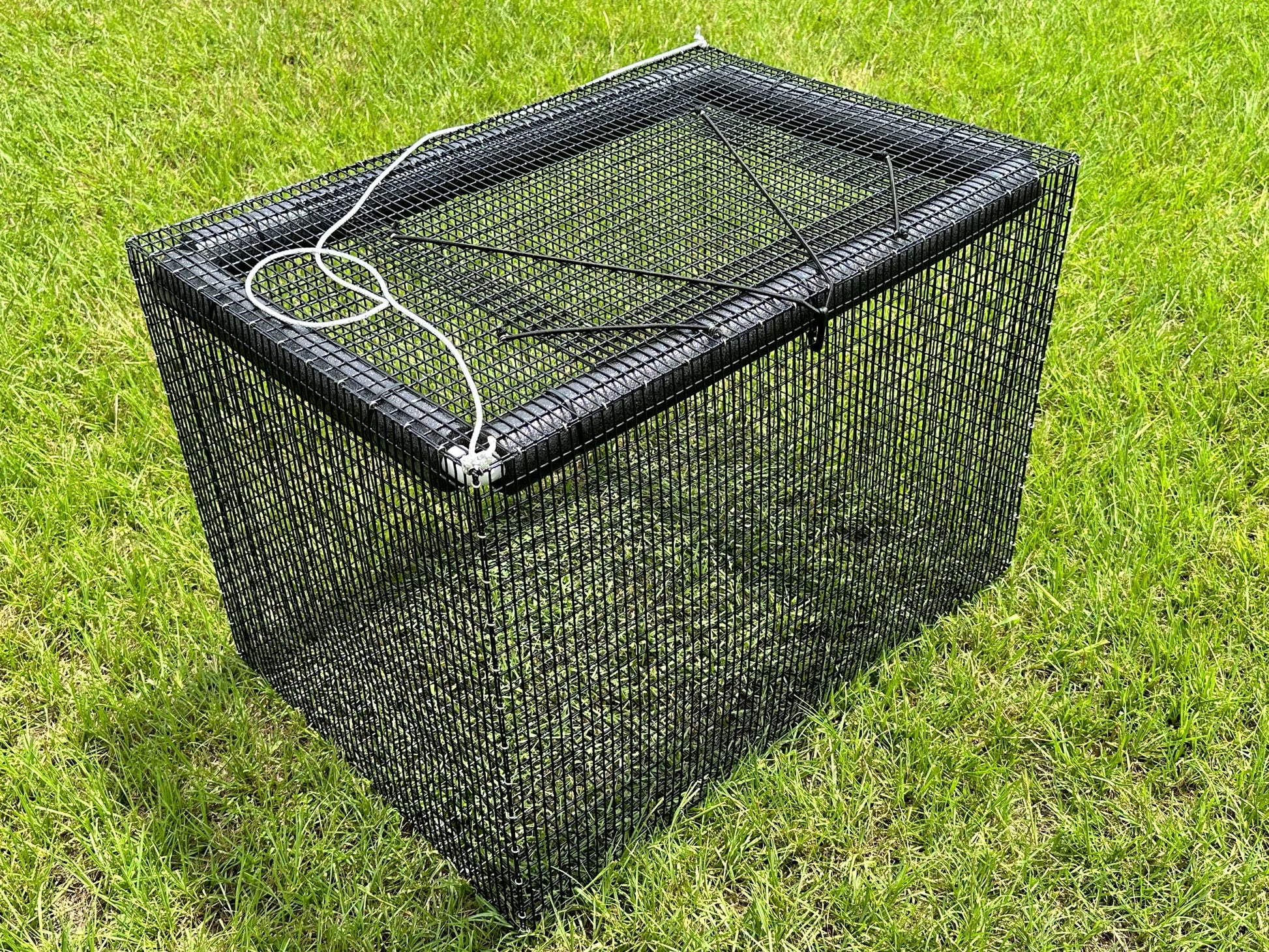 Fish Basket Fish Cage Floating Fish Basket – Reel Texas Outdoors