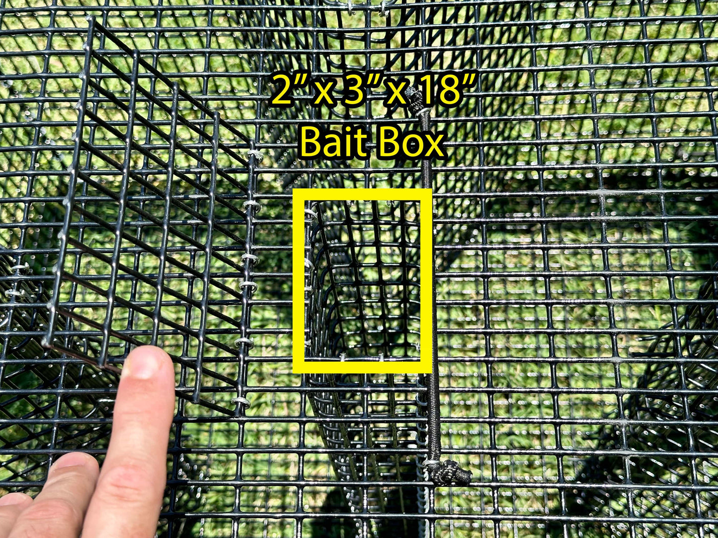 Large Pinfish Trap Large Pinfish Trap