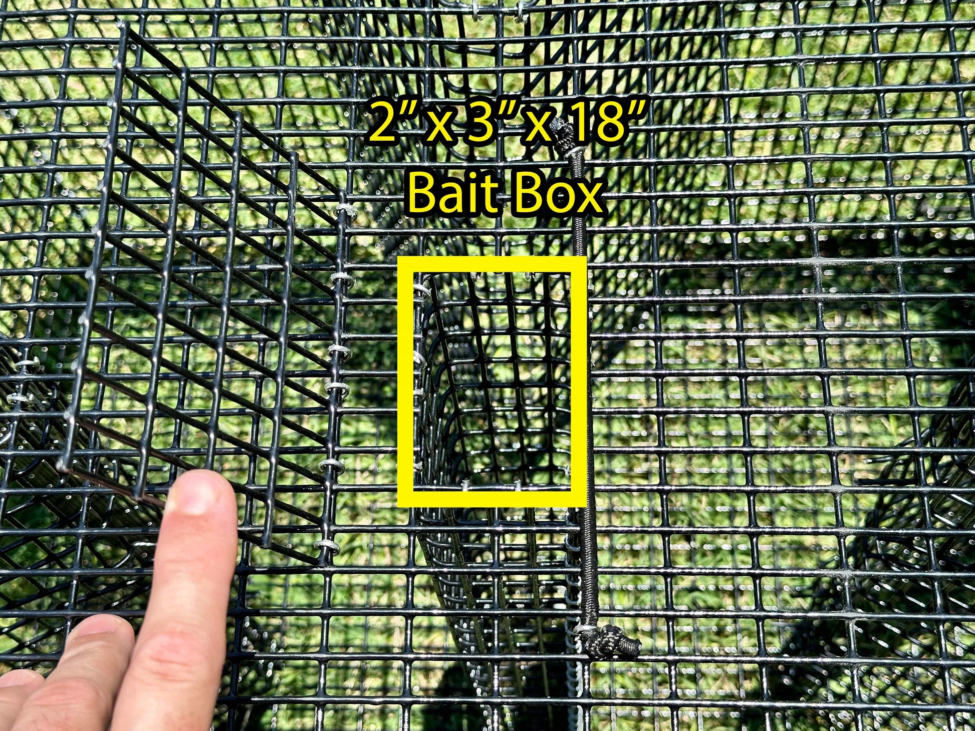 alaskan fish trap box Large Pinfish Trap