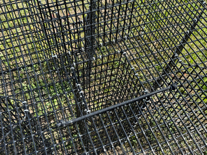 Black metal wire mesh pinfish trap with a horizontal bungee for holding the bait door shut. 