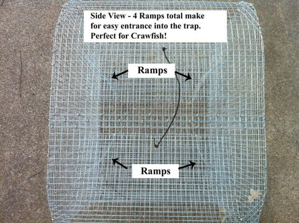 Fish Trap: Large Figure 8 / Guide's Secret Bait Fish Trap (Perch Trap, Bream Trap, Sunfish Trap)
