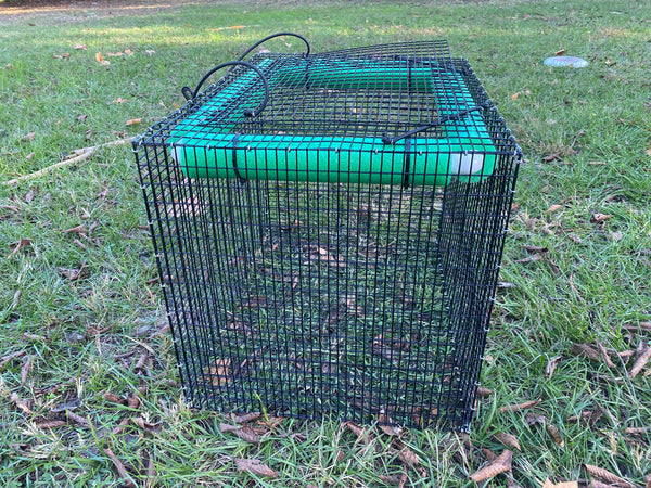 Crab Holding Cage - Lobster Holding Pen - Medium Fish Holding Cage - Reel Texas Outdoors