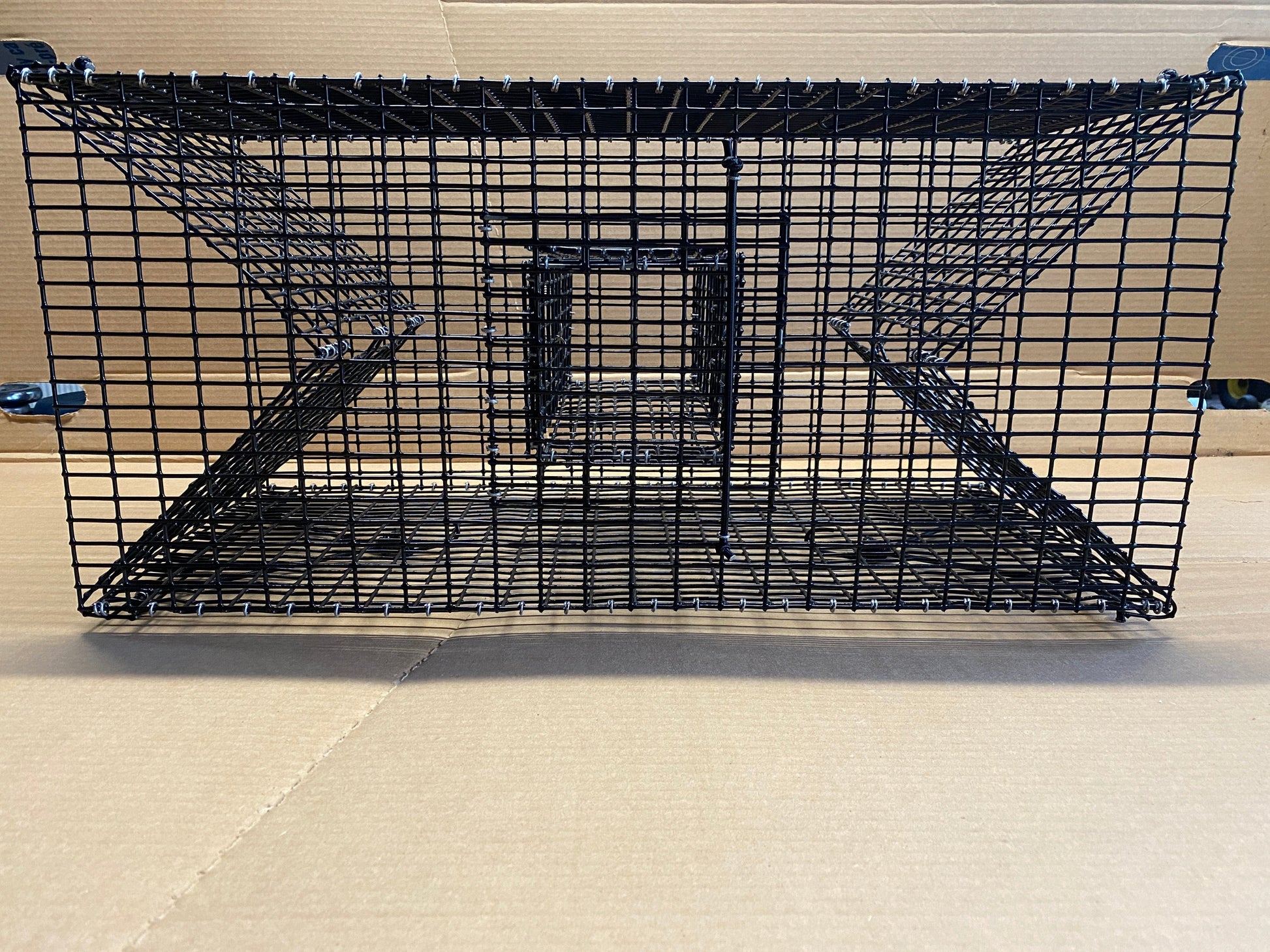 collapsable fish Foldable Fish Trap - Folding Crawfish Trap