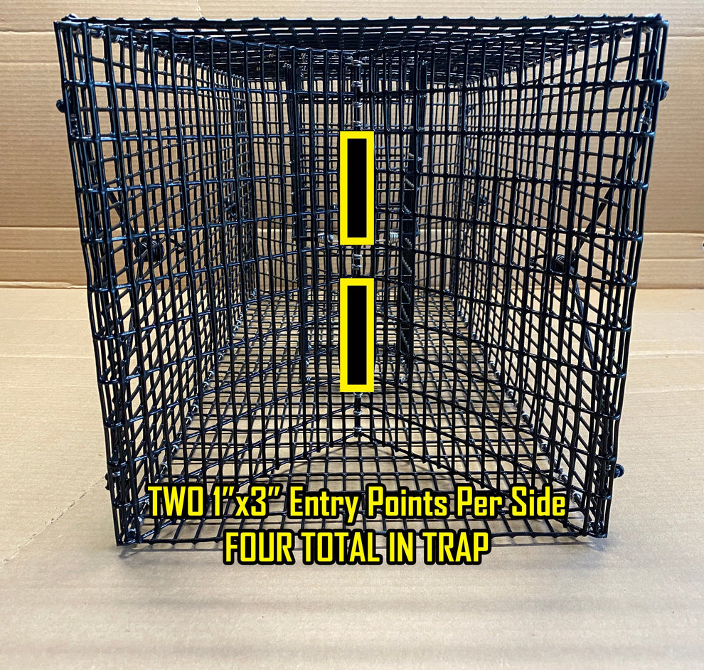 Foldable Fish Trap - Folding Crawfish Trap - Collapsible Bait Fish Tra ...