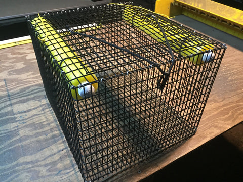 cage for holding bait fish