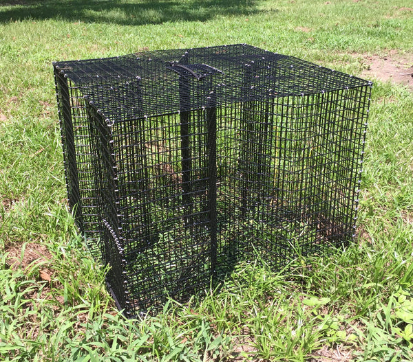 Pinfish Trap - Oversized Clover Bait Fish Trap - Reel Texas Outdoors