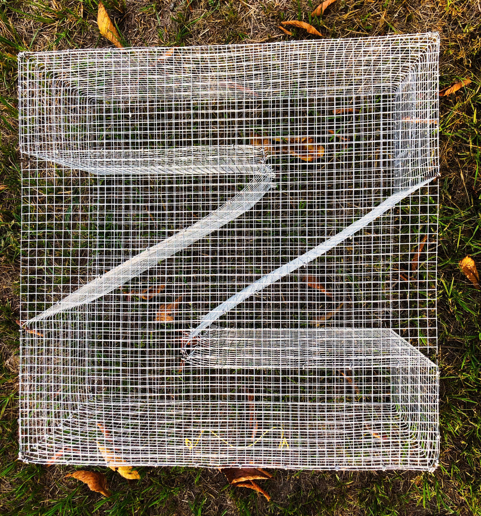 Z-Bait Fish Trap (Bream, Perch, Sunfish, Pinfish, Bullhead Trap