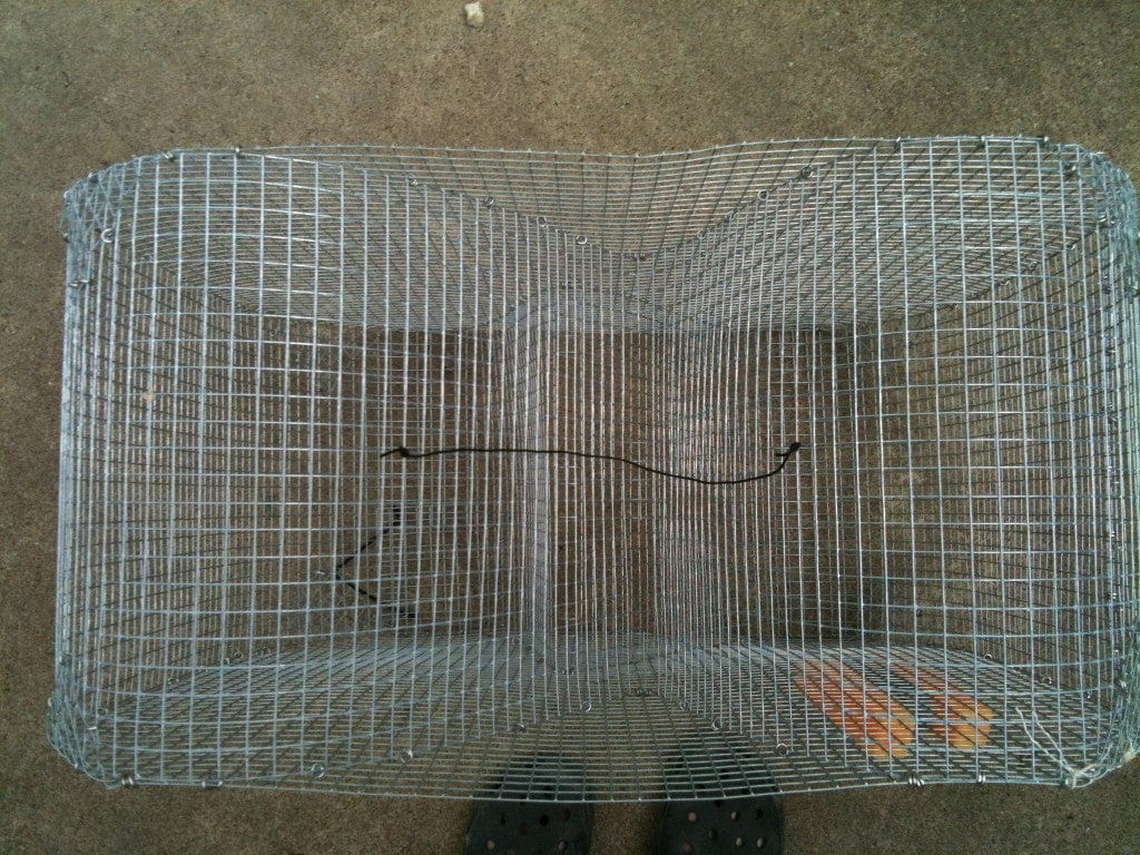 Secret Fish Traps The